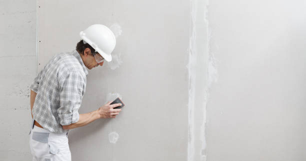 Best Fire-Damaged Drywall Repair  in Advae, NC