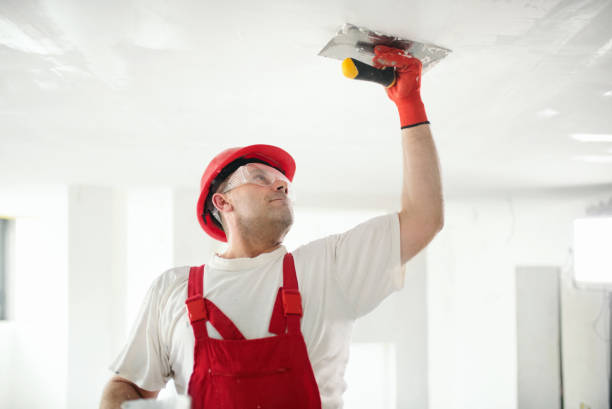 Best Drywall Removal and Disposal  in Advae, NC